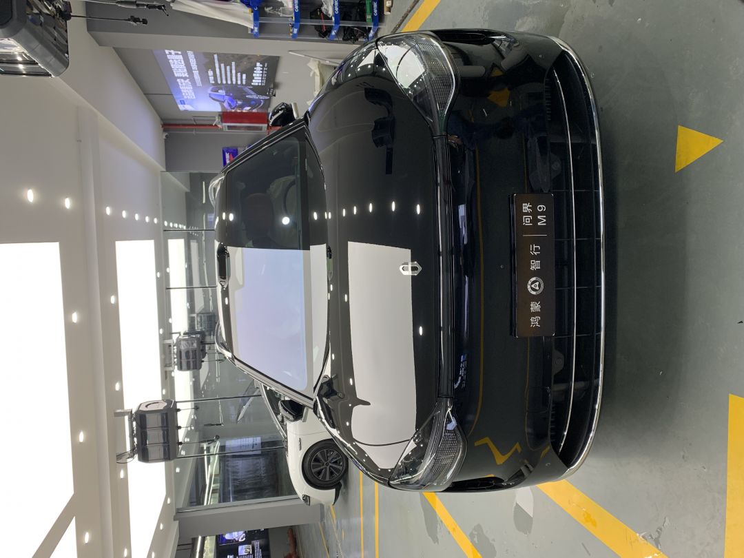 赛力斯问界M9装贴M9-钻石系列车衣9.5