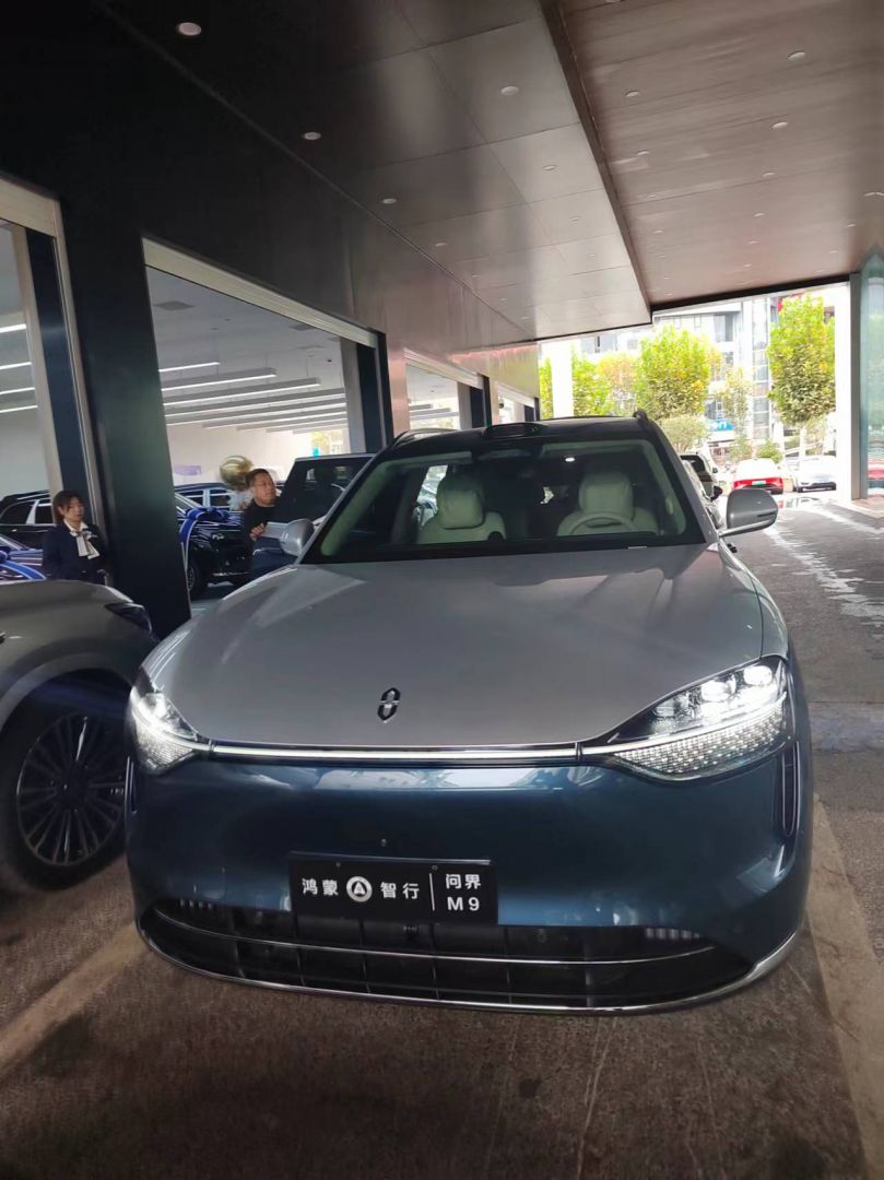 赛力斯问界M9装贴M9-钻石系列车衣9.5