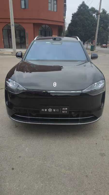 赛力斯问界M9装贴M9-钻石系列车衣9.5