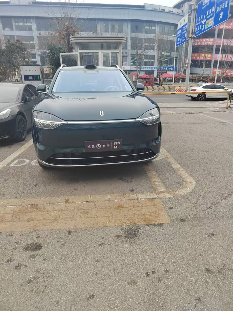 赛力斯问界M9装贴M9-钻石系列车衣9.5