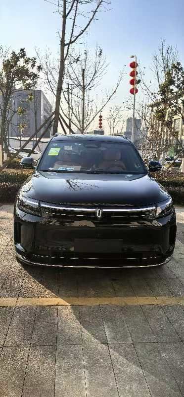 赛力斯问界M7装贴M7-钻石系列车衣7.5