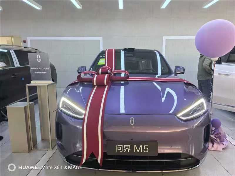 赛力斯问界M5装贴M7-钻石系列车衣7.5