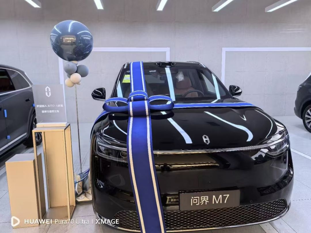 赛力斯问界M7装贴M7-钻石系列车衣7.5